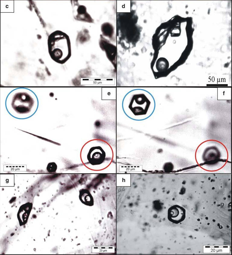 Transmitted IR light microphotographs of fluid
        inclusions in specular hematite.