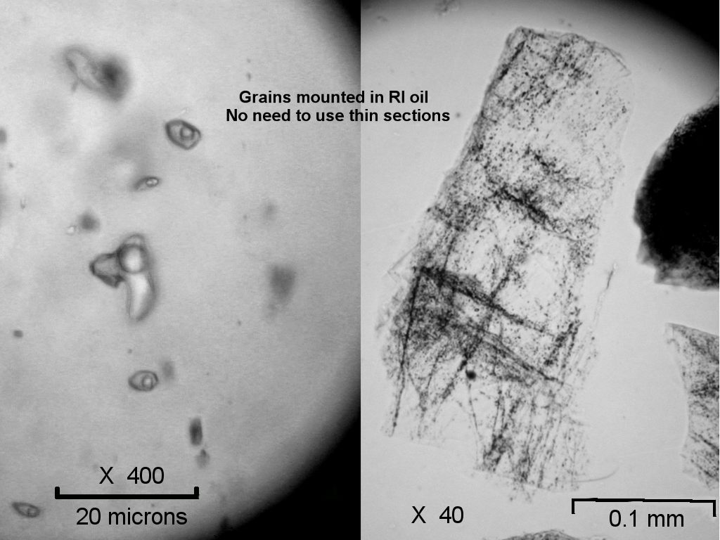 microscopy on grains in oil
