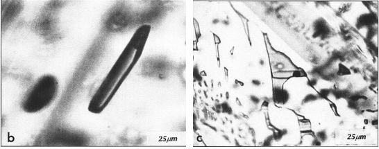 transmitted near IR light microphotographs (b-c) of
      minerals from the Wessels mine, Sth Africa